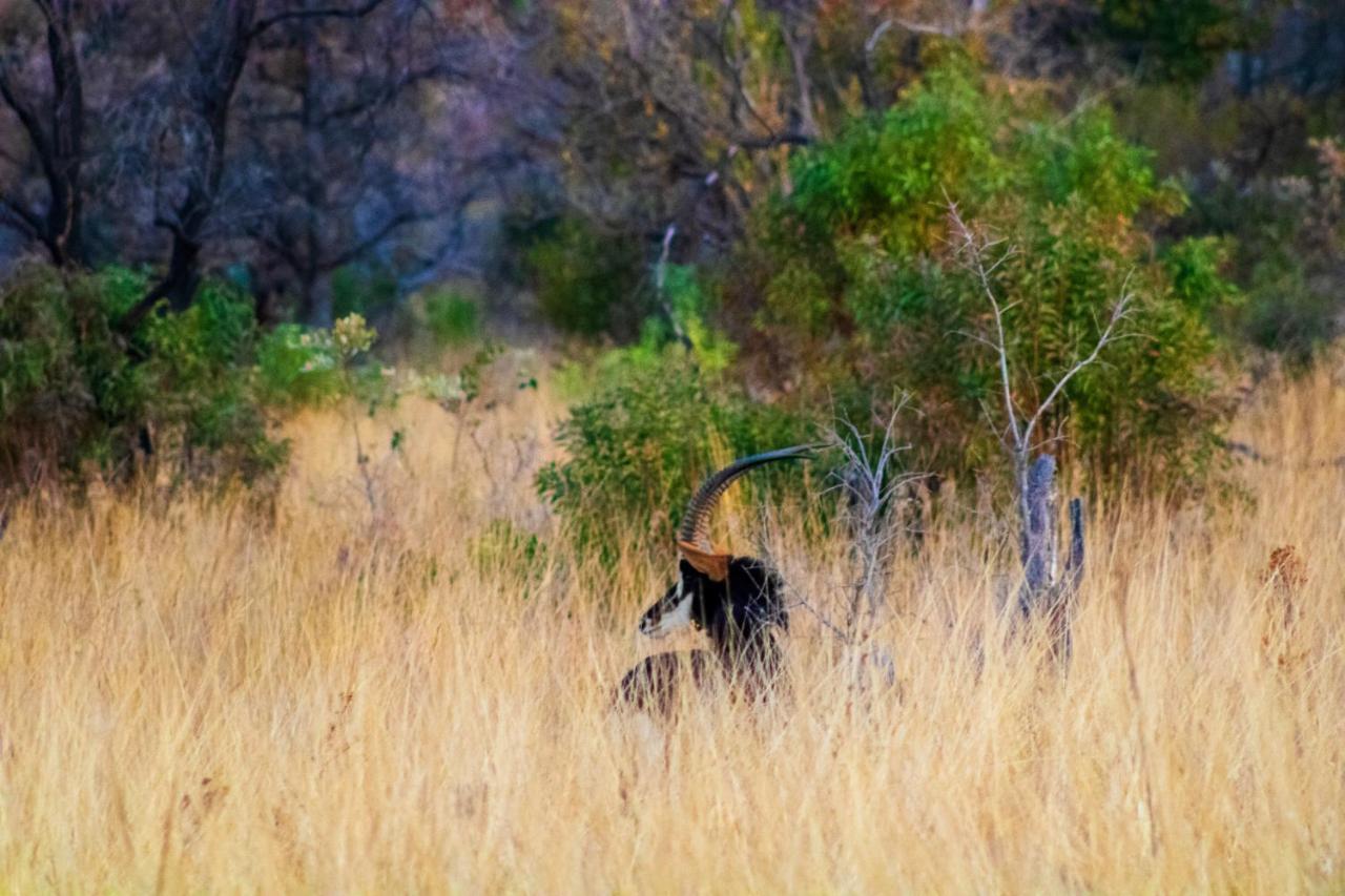Fumani Game Lodge Modimolle Ngoại thất bức ảnh